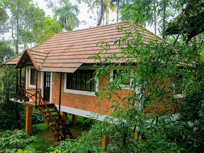 Collection O 811106 Ashiyana Homes, Kakkanad Kochi, Kochi