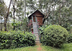 Collection O 811106 Ashiyana Homes, Kakkanad Kochi, Kochi