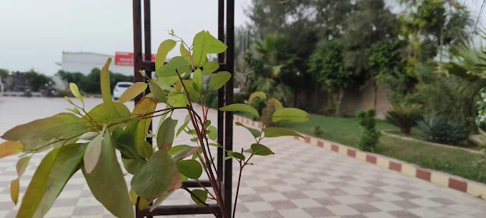 https://homesloc.com/uploads/2023-11-05-1747804137.webp